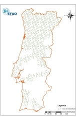 Casas Porto Mosquito